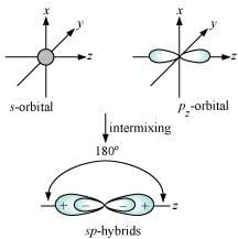 NCERT Solutions Class 11 Chemistry Chapter 4 - Chemical Bonding & Molecular Structure